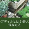 ハーブディルとは？使い方や保存方法とおすすめレシピを解説