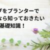 ハーブをプランターで育てるなら知っておきたい基礎知識！徹底ガイド