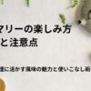ローズマリーの楽しみ方と注意点｜料理に活かす風味の魅力と使いこなし術