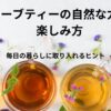 ハーブティーの自然な力と楽しみ方｜毎日の暮らしに取り入れるヒント