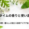 タイムの香りと使い道｜料理・暮らしに役立つ活用アイデア
