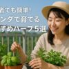 初心者でも簡単！ベランダで育てるおすすめハーブ5選【失敗しないコツも紹介】
