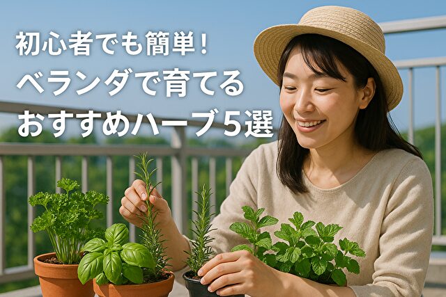 初心者でも簡単！ベランダで育てるおすすめハーブ5選【失敗しないコツも紹介】