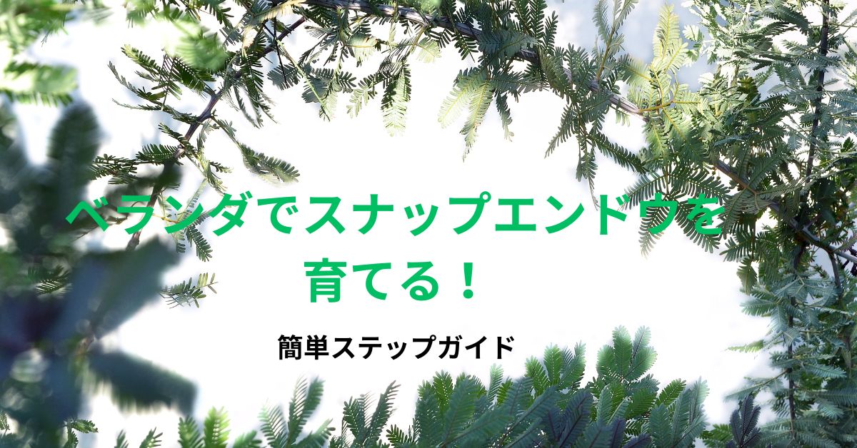 ベランダでスナップエンドウを育てる！簡単ステップガイド