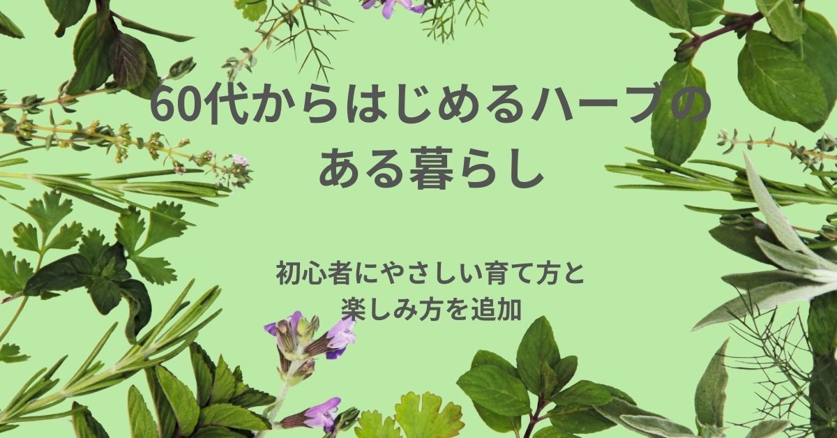 60代からはじめるハーブのある暮らし｜初心者にやさしい育て方と楽しみ方