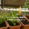ベランダの家庭菜園でコバエが湧かない環境作りと予防のコツ完全ガイド