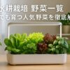 水耕栽培 野菜一覧｜室内でも育つ人気野菜を徹底解説