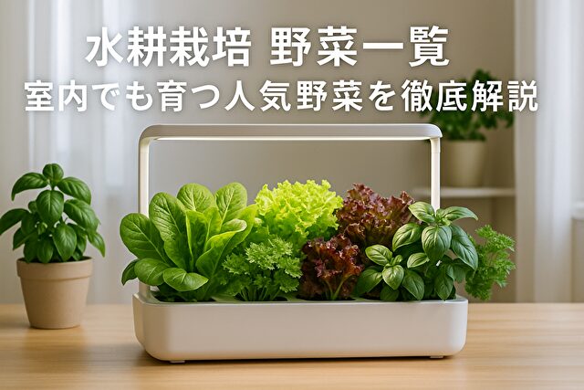 水耕栽培 野菜一覧｜室内でも育つ人気野菜を徹底解説