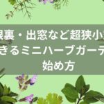 屋根裏・出窓など超狭小空間でできるミニハーブガーデンの始め方