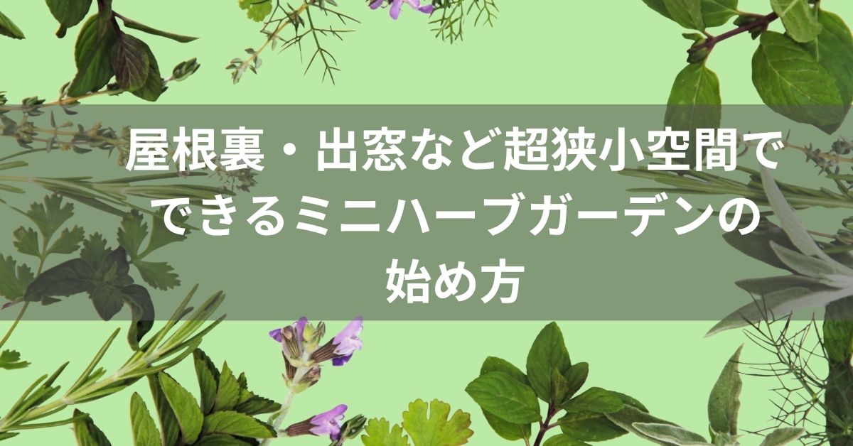 屋根裏・出窓など超狭小空間でできるミニハーブガーデンの始め方