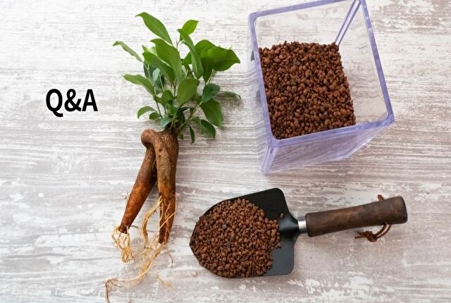 よくある質問Q&A