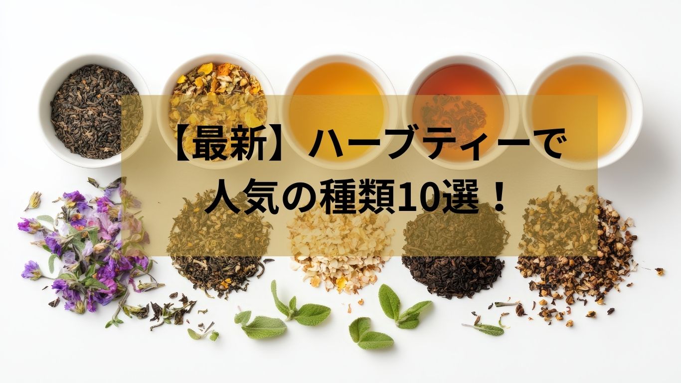 【最新】ハーブティーで人気の種類10選！50代から始める「私にぴったり」な1杯の選び方