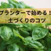 プランターで始める！初心者におすすめのハーブ6選と、土づくりのコツ