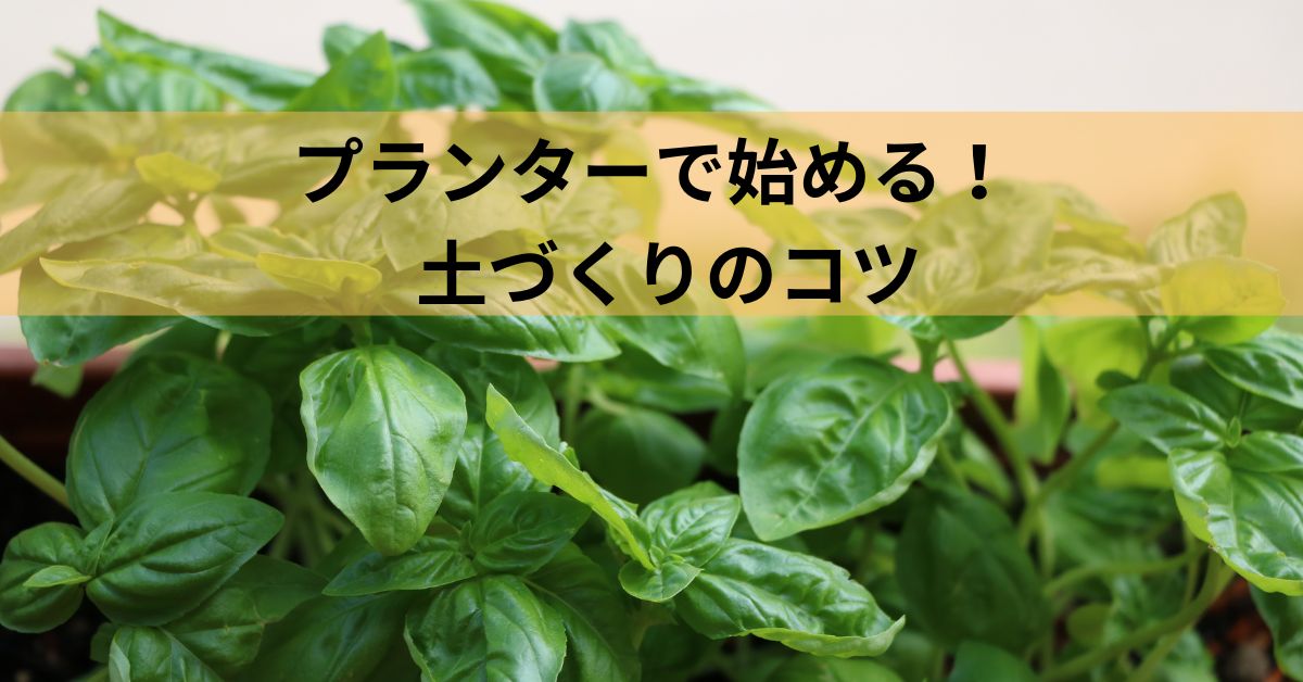 プランターで始める！初心者におすすめのハーブ6選と、土づくりのコツ