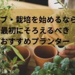 【初心者向け】ハーブ・栽培を始めるなら！最初にそろえるべきおすすめプランター選びのポイント