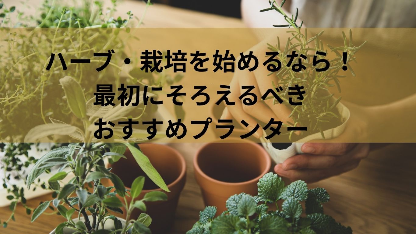 【初心者向け】ハーブ・栽培を始めるなら！最初にそろえるべきおすすめプランター選びのポイント
