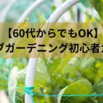 【60代からでもOK】ハーブガーデニング初心者ガイド｜無理なく始めるベランダ緑のある暮らし