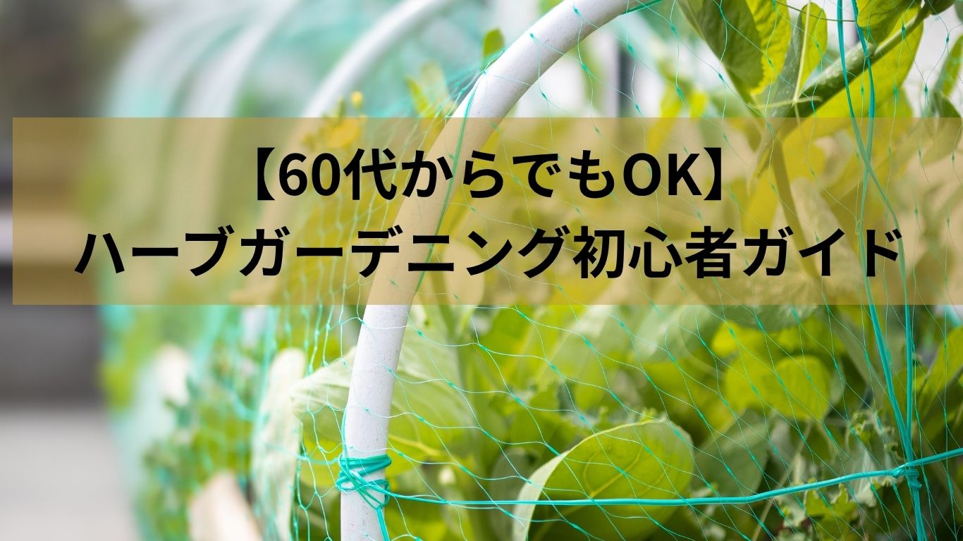 【60代からでもOK】ハーブガーデニング初心者ガイド｜無理なく始めるベランダ緑のある暮らし